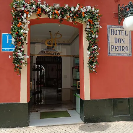 Casa Palacio Don Pedro Hotel Seville