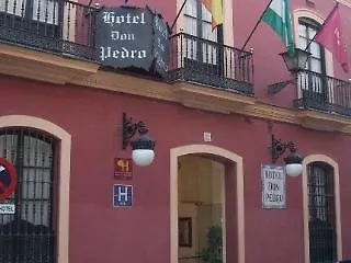 Hotell Casa Palacio Don Pedro